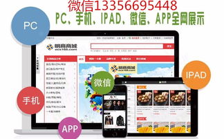两地科技开发费用解析 大连直销系统制作与南宁办公软件市场报价